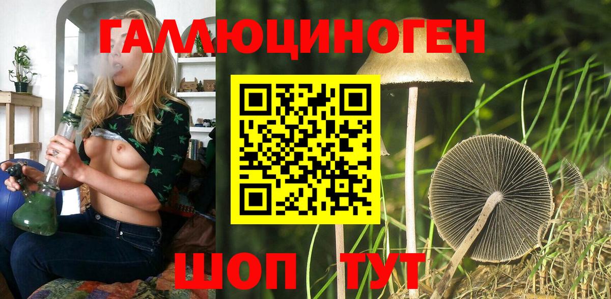 Заволжье  Псилоцибиновые грибы Psilocybe  магазин  наркотиков  Псилоцибиновые грибы Magic Shrooms  Вход с VPN 